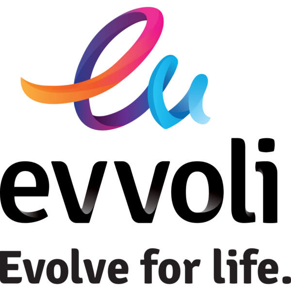 اسپلیت 24 هزار ایوولی Evvoli golden-md1 t1 t3